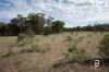 CA4 SEC 6  Maryborough Dunolly Road, Havelock, Vic 3465-Image