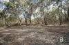 CA4 SEC 6  Maryborough Dunolly Road, Havelock, Vic 3465-Image