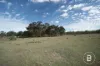 CA4 SEC 6  Maryborough Dunolly Road, Havelock, Vic 3465-Image