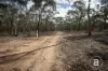 CA4 SEC 6  Maryborough Dunolly Road, Havelock, Vic 3465-Image