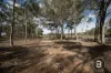 CA4 SEC 6  Maryborough Dunolly Road, Havelock, Vic 3465-Image