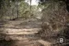 CA4 SEC 6  Maryborough Dunolly Road, Havelock, Vic 3465-Image