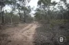 CA4 SEC 6  Maryborough Dunolly Road, Havelock, Vic 3465-Image