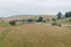 CA81, Sec2 Sutherland Street, Clunes, Vic 3370-Image