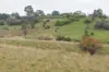 CA81, Sec2 Sutherland Street, Clunes, Vic 3370-Image