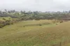 CA81, Sec2 Sutherland Street, Clunes, Vic 3370-Image