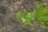 Caralulup Track, Talbot, Vic 3371-Image