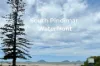 Carruthers Avenue, Pindimar, NSW 2324-Image