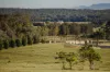 Cedars Drive, Pokolbin, NSW 2320-Image