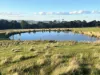 Corner Pyalong Road & Powells Road, Lancefield, Vic 3435-Image
