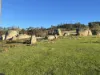 Corner Pyalong Road & Powells Road, Lancefield, Vic 3435-Image