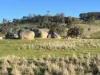 Corner Pyalong Road & Powells Road, Lancefield, Vic 3435-Image
