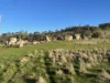 Corner Pyalong Road & Powells Road, Lancefield, Vic 3435-Image