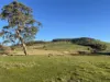 Corner Pyalong Road & Powells Road, Lancefield, Vic 3435-Image