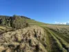 Corner Pyalong Road & Powells Road, Lancefield, Vic 3435-Image