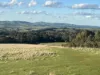Corner Pyalong Road & Powells Road, Lancefield, Vic 3435-Image