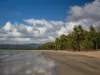 Coulthard Close, Newell, Qld 4873-Image