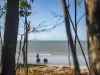 Coulthard Close, Newell, Qld 4873-Image