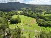 Diamond Valley Road, Diamond Valley, Qld 4553-Image