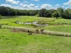 Diamond Valley Road, Diamond Valley, Qld 4553-Image