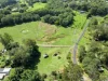 Diamond Valley Road, Diamond Valley, Qld 4553-Image