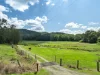 Diamond Valley Road, Diamond Valley, Qld 4553-Image