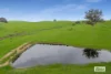 Duncans Lane, Glenhope, Vic 3444-Image