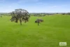 Duncans Lane, Glenhope, Vic 3444-Image