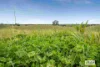 Duncans Lane, Glenhope, Vic 3444-Image