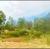 Eleanor Street, Mount Perry, Qld 4671-Image
