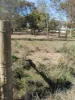 Elizabeth Street, Pinery, SA 5460-Image