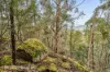 End of Waggs Gully Rd, Ranelagh, Tas 7109