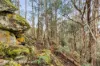 End of Waggs Gully Rd, Ranelagh, Tas 7109-Image