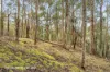 End of Waggs Gully Rd, Ranelagh, Tas 7109-Image