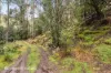 End of Waggs Gully Rd, Ranelagh, Tas 7109-Image