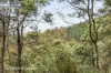 End of Waggs Gully Rd, Ranelagh, Tas 7109-Image