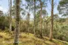 End of Waggs Gully Rd, Ranelagh, Tas 7109-Image