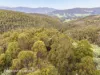 End of Waggs Gully Rd, Ranelagh, Tas 7109-Image