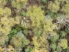 End of Waggs Gully Rd, Ranelagh, Tas 7109-Image