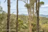 End of Waggs Gully Rd, Ranelagh, Tas 7109-Image