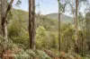 End of Waggs Gully Rd, Ranelagh, Tas 7109-Image