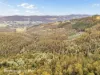 End of Waggs Gully Rd, Ranelagh, Tas 7109-Image