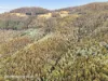 End of Waggs Gully Rd, Ranelagh, Tas 7109-Image