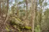 End of Waggs Gully Rd, Ranelagh, Tas 7109-Image