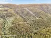 End of Waggs Gully Rd, Ranelagh, Tas 7109-Image