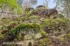 End of Waggs Gully Rd, Ranelagh, Tas 7109-Image