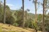 End of Waggs Gully Rd, Ranelagh, Tas 7109-Image