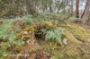 End of Waggs Gully Rd, Ranelagh, Tas 7109-Image