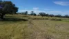 "Evengy" 1484 Warbreccan Road, Stonehenge, Qld 4730-Image