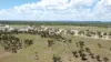 "Evengy" 1484 Warbreccan Road, Stonehenge, Qld 4730-Image